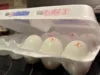 Колорадо планирует финансировать продуктовые банки в условиях продолжающегося shutdown